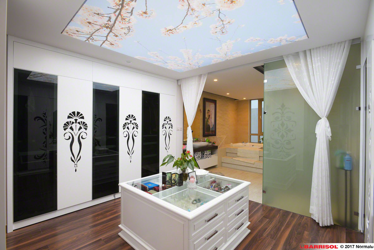 Cách bảo quản và vệ sinh cho trần nhà đẹp năm 2019