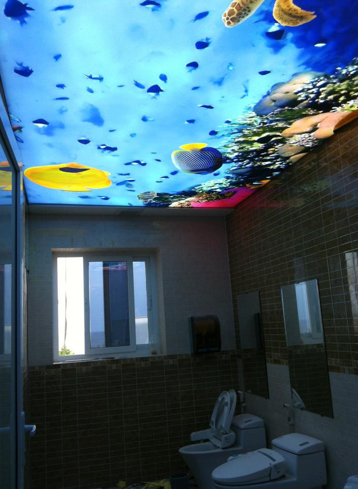 Khám phá đại dương cùng trần in xuyên sáng Barrisol