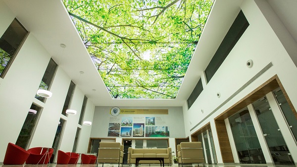 Những mẫu thiết kế trần nhà đẹp