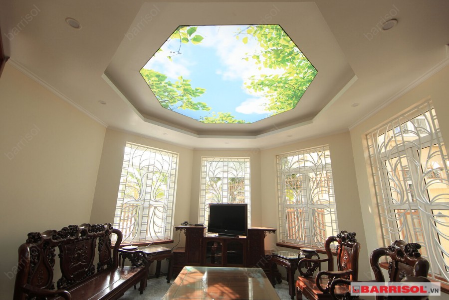 trần in xuyên sáng bầu trời