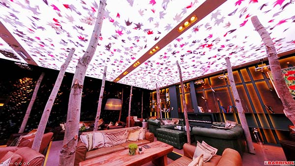 trần 3d xuyên sáng barrisol việt nam